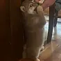 Kiko $KIKO