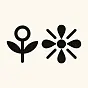 Lotus $⚘❈