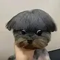 Dog Final Boss $dogboss