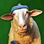 Sheep Wif Hat $SWIF