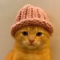 catwifhat $WIF2