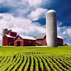 This is a farm $Farm