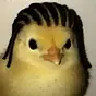 chigga $chigga