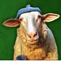 Sheep Wif Hat $SWIF