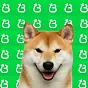 Believe Dog $BEDOG