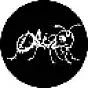 Antscoin $ANTS