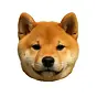 子犬 $koinu