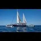 Freedom Flotilla $MADLEEN