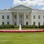 JUSTICE FOR WHITEHOUSE $JFW