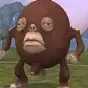 Jajak $Jajak
