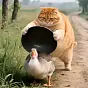 胖橘 Fat Orange $Orange