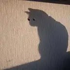 SHADOW $shadow
