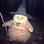 the Wizard Cat $Cheeseball