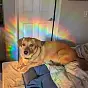 The Dog Of Infinite Blessings $Pepito