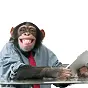 Internet Capital Monkey $ICM
