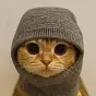 Sock and Pussy 500 $SNP500