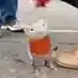 Elons Fave Meme $STUART