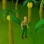 the banana zone $banana