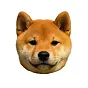 子犬 $koinu