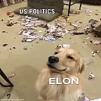 ELON $ELON