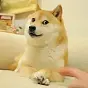 DOGE $DOGE