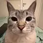 Tuna $Tuna