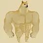 Swole Chad Doge $Swoge