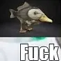 fish+duck $fuck
