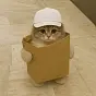 cat in a bag $bag