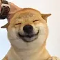 Doubao $豆包