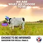 USCPSC Cow Mascot $Magic