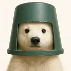 Bucket Hat $BUCKET