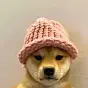 dog with hat $with