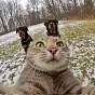 SELFIE CAT $SELFIE