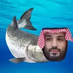 Mohammed Bin Salmon  $MBS
