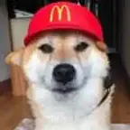 dogwifjob $job