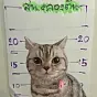 Jailed Cat $NabTang