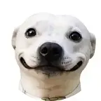 The Selfie Dog $BUDDY