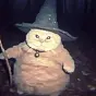 the Wizard Cat $Cheeseball