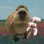 Capybara $CAPY