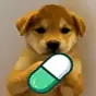 Im Not Useless $INU