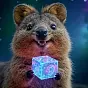 Quantum Quokka $QQKK
