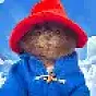 Bertram The Pomeranian $Bert