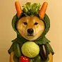 Most Organic Dog $Doganic