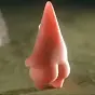 JIGGLEBUTT $Jiggle