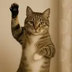 Bailando  $Bailando