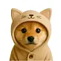 dog $cat