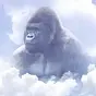 Harambe $Harambe