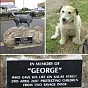 Justice For George $George