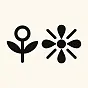 Lotus $⚘❈